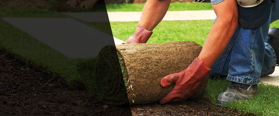 Custer Landscapers